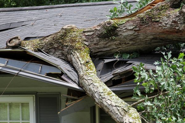 Storm Remediation in Pasadena