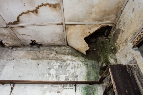 Water Damage Service in Pasadena