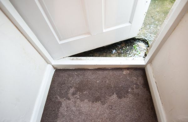 Wet Carpet Restoration in Pasadena