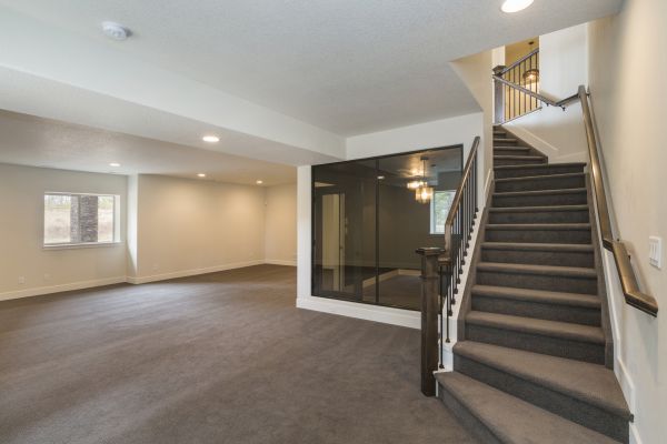 Basement Restoration Service in Pasadena