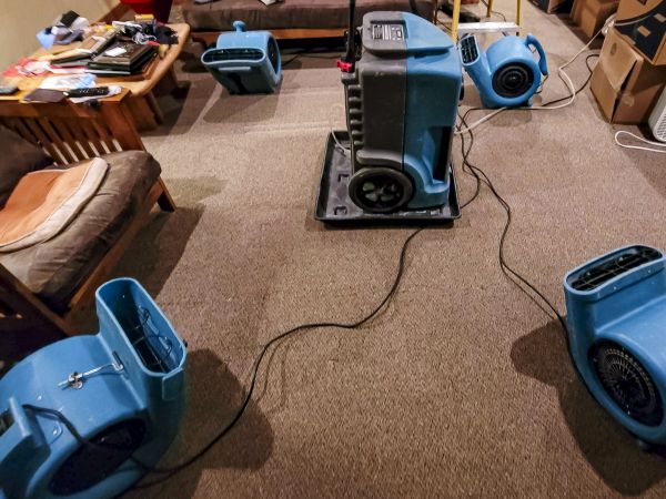 Flood Damage Recovery in Pasadena