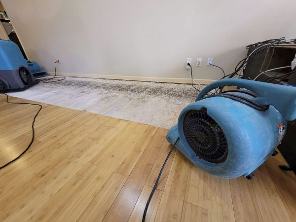 Water Damage Mitigation in Pasadena