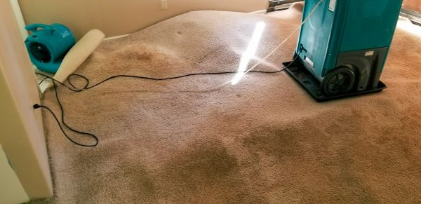 Carpet Water Extraction in Pasadena