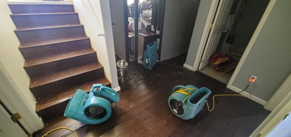 Water Damage Remediation in Pasadena