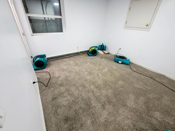 Flood Restoration Service in Pasadena