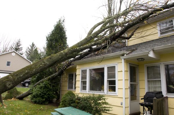Hurricane Damage Repair in Pasadena