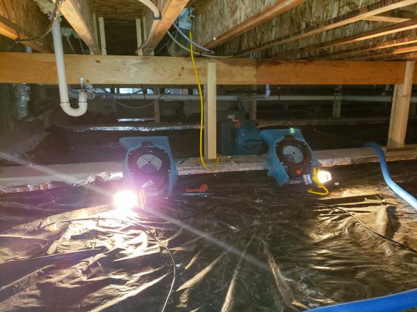 Cost of Crawlspace Water Removal in Pasadena