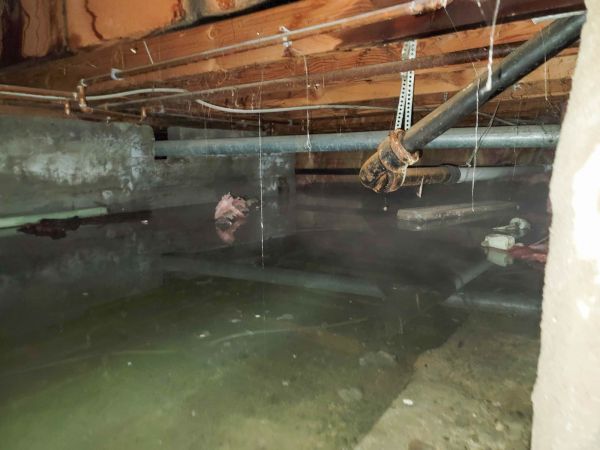Crawlspace Water Restoration in Pasadena